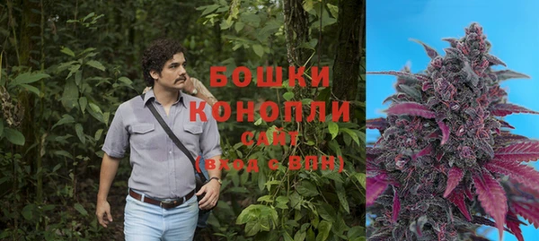 шишки Алзамай