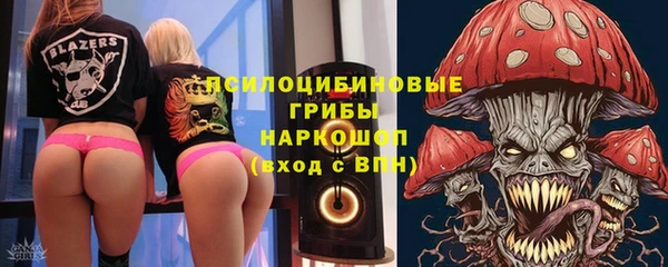 шишки Алзамай