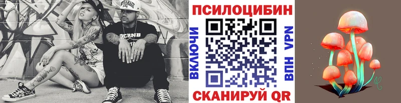 где продают наркотики Лаишево Псилоцибиновые грибы прущие грибы